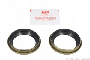   43x54,2/59,8x6/11 Y-11 Ariete ARI.129