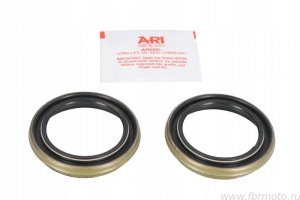  43x54,2/59,8x6/11 Y-11 Ariete ARI.129