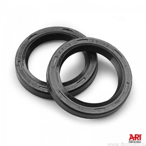   41x53,7x5/10 Ariete ARI.128